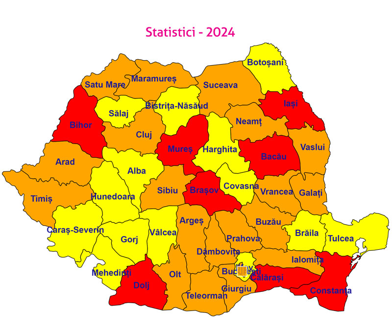 Statistici 2024